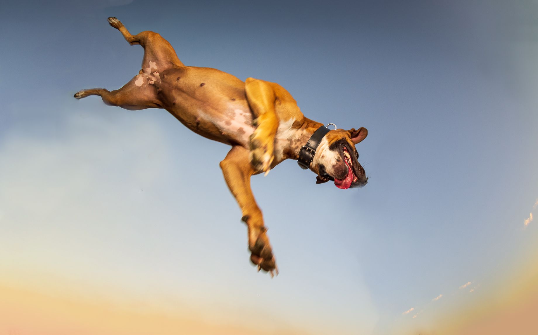 20200825-_DSC2588 uprava